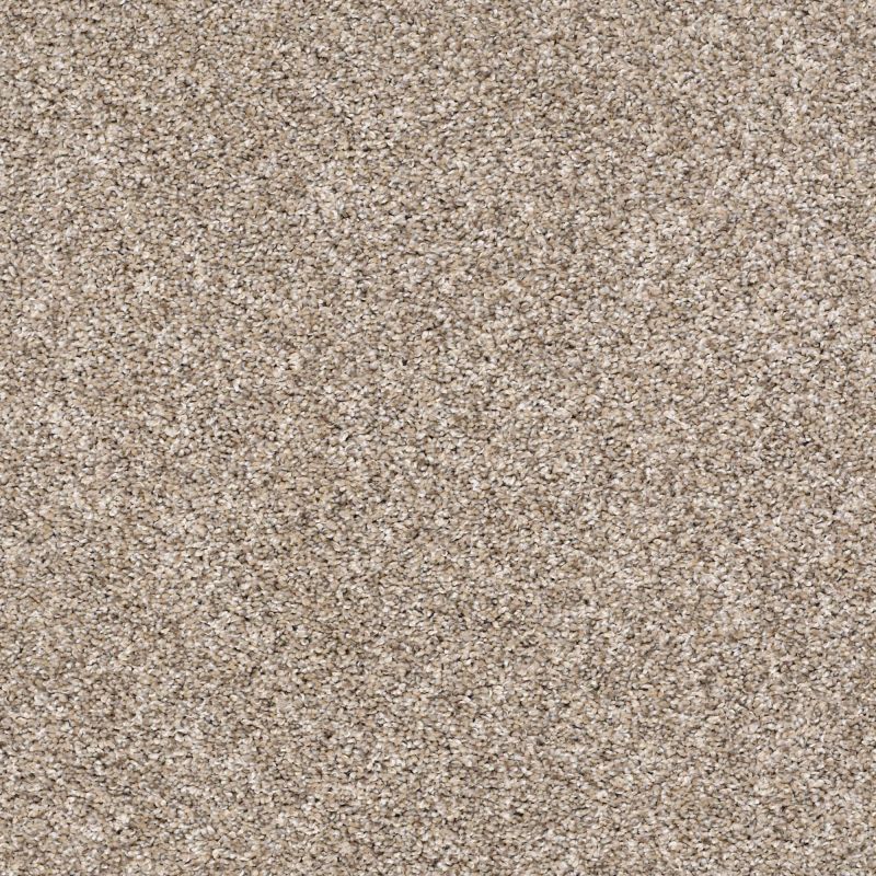 Shaw Carpet-Terrific Neutral Ground