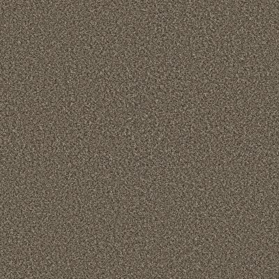 Carpet | Wall 2 Wall Flooring