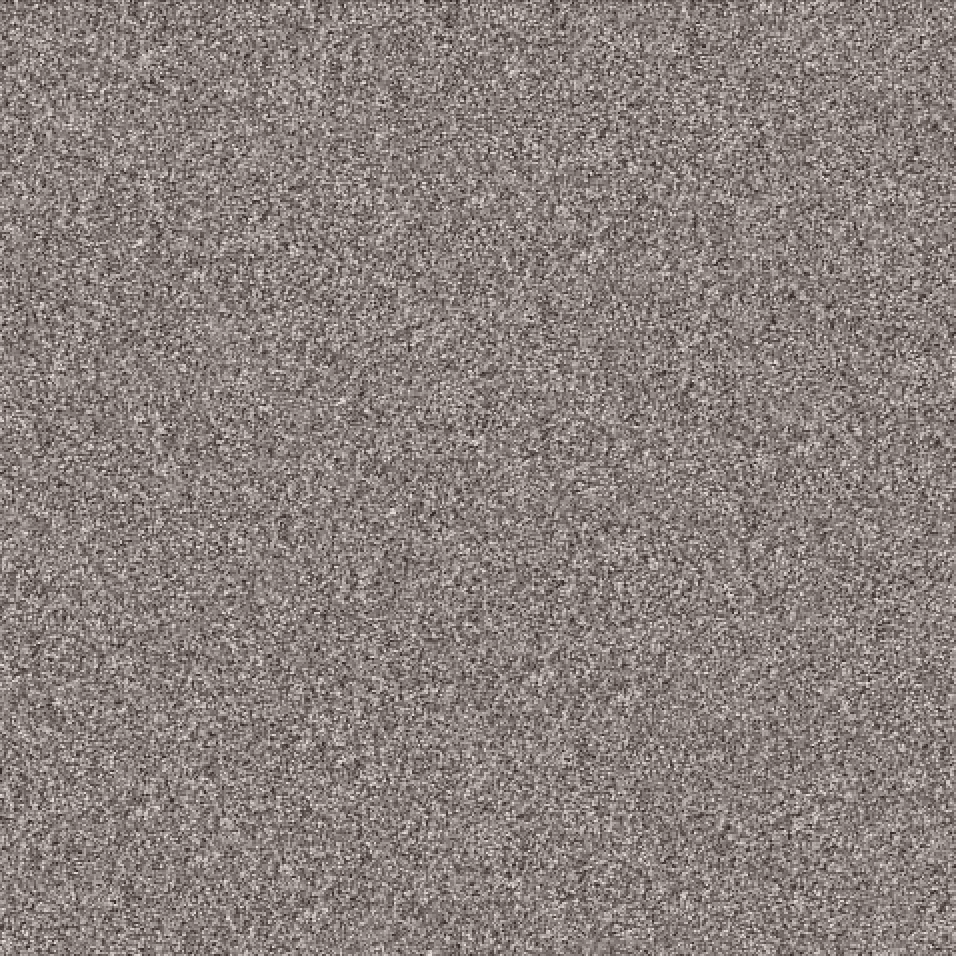 French Buff | Wall 2 Wall Flooring