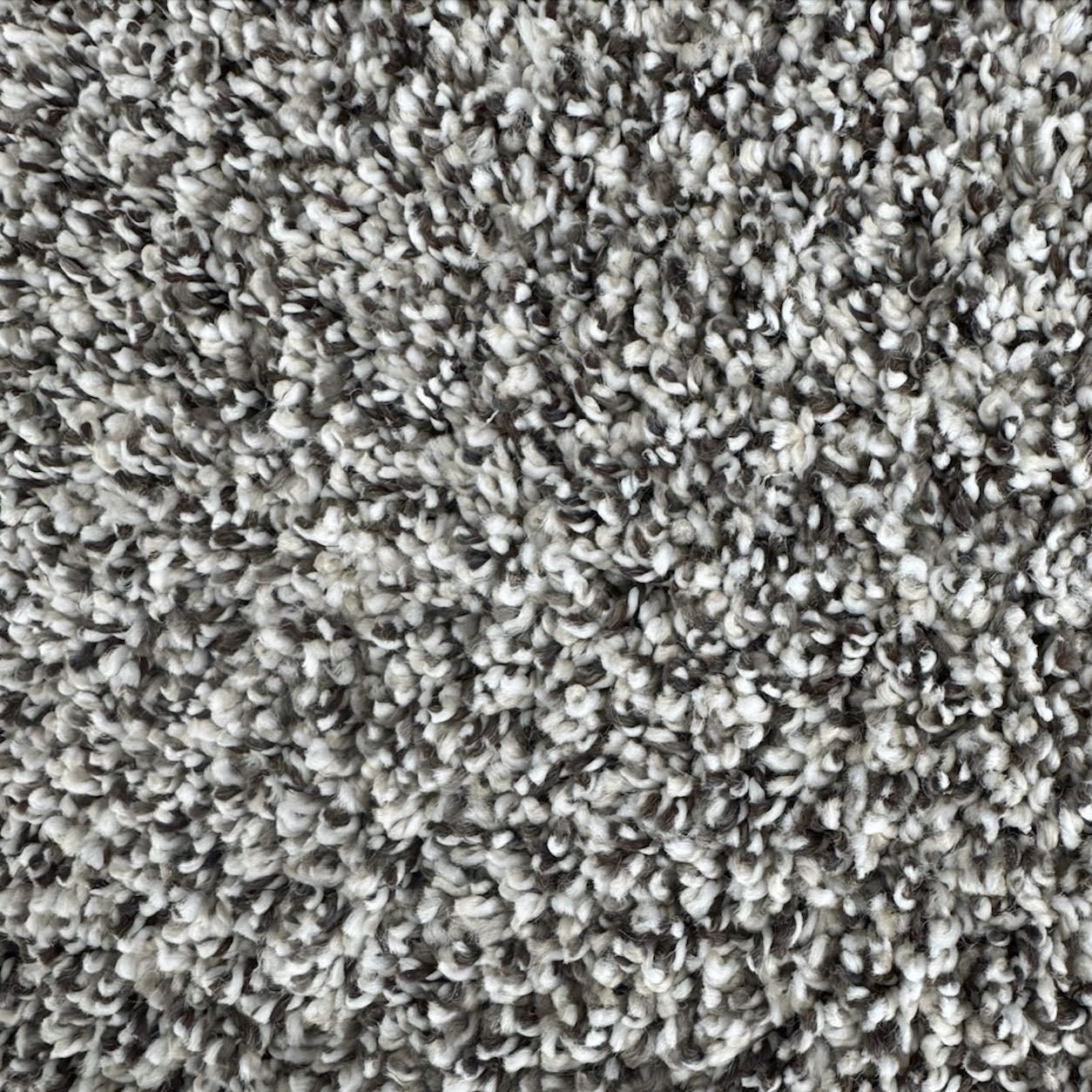 Karastan rug | Wall 2 Wall Flooring