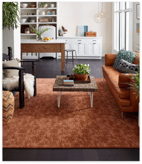 Choosing-Rugs