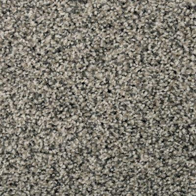 Karastan Magnetic Beauty Flannel