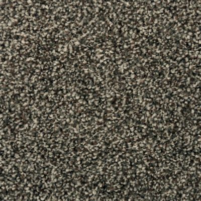 Karastan Magnetic Beauty Universal Umber