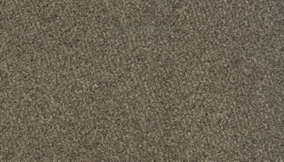 Mohawk Karastan Instinctive Taste Woodland