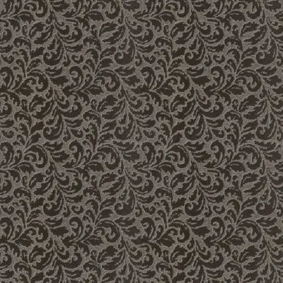 PurrfectHarmony-Durango-Shaw