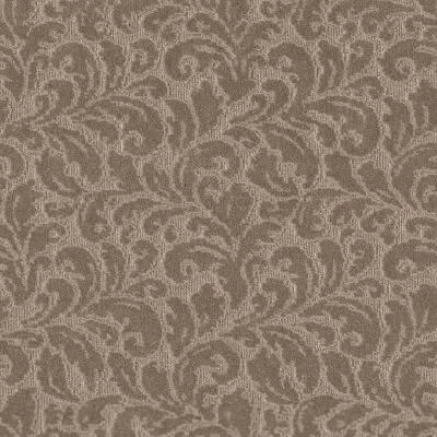 PurrfectHarmony-Mocha-Shaw