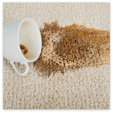 Rug-LiquidSpills Rug-LiquidSpills