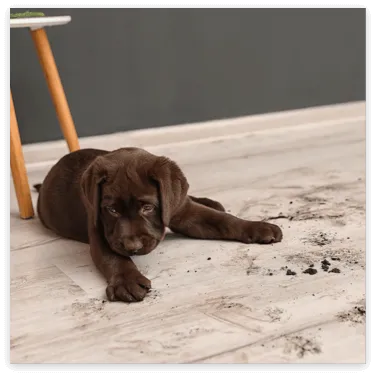 Vinyl-DrySpills Vinyl-DrySpills